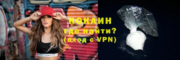гидра Бородино
