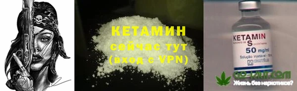 гидра Бородино