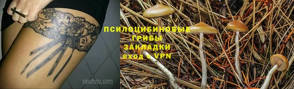 гидра Бородино