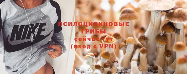 apvp Верхний Тагил