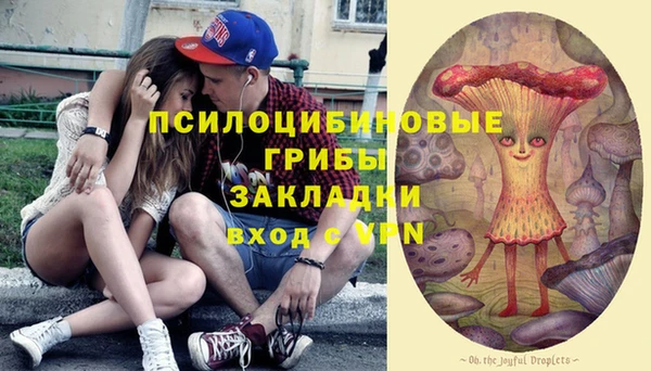 гидра Бородино